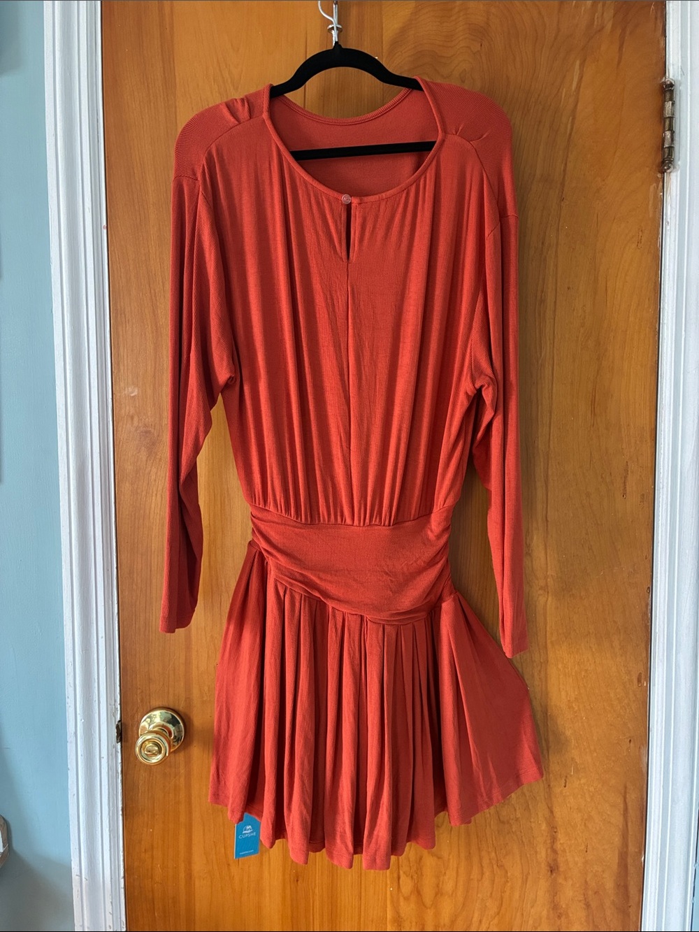 Cupshe Rust Long-Sleeve Pleated Waist Dress